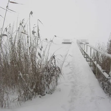 - Mueritzstern * Marienfelde